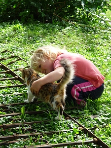 Pet play animal
