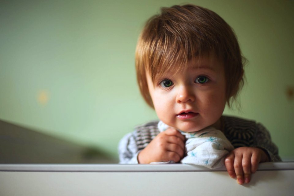 Toddler Portrait