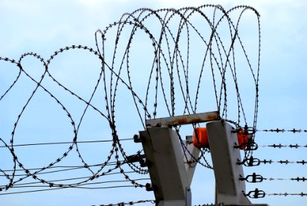 Barbed Wire photo
