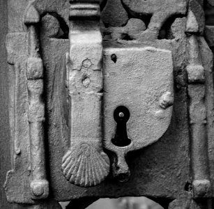 Grey Keyhole photo