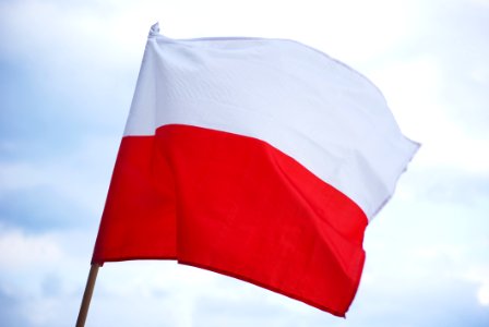 Polish Flag photo