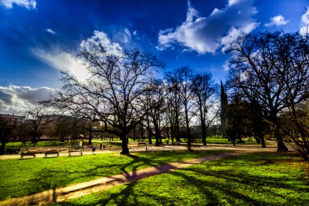 Park Benches