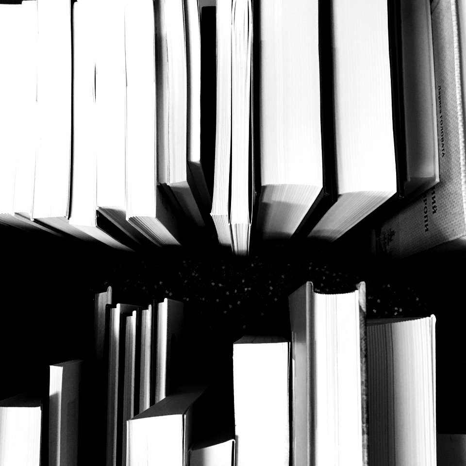 Stacks Of Books photo