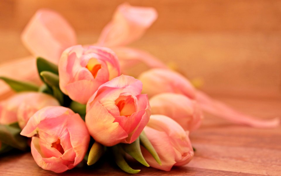 Close-up Of Pink Flower Bouquet photo