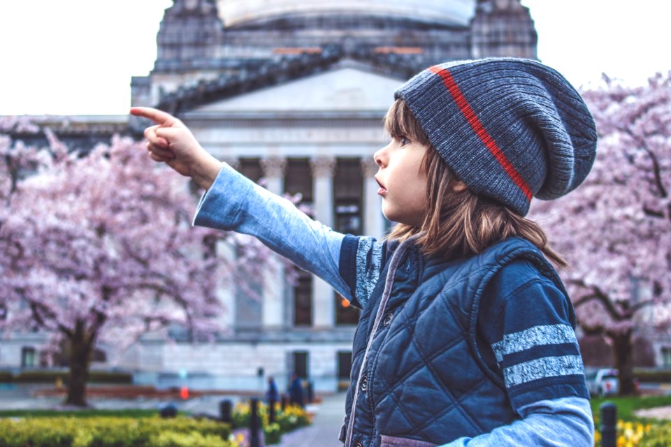 Child Looking At Cherry Blossoms