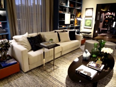 Contemporary Living Room Interior photo
