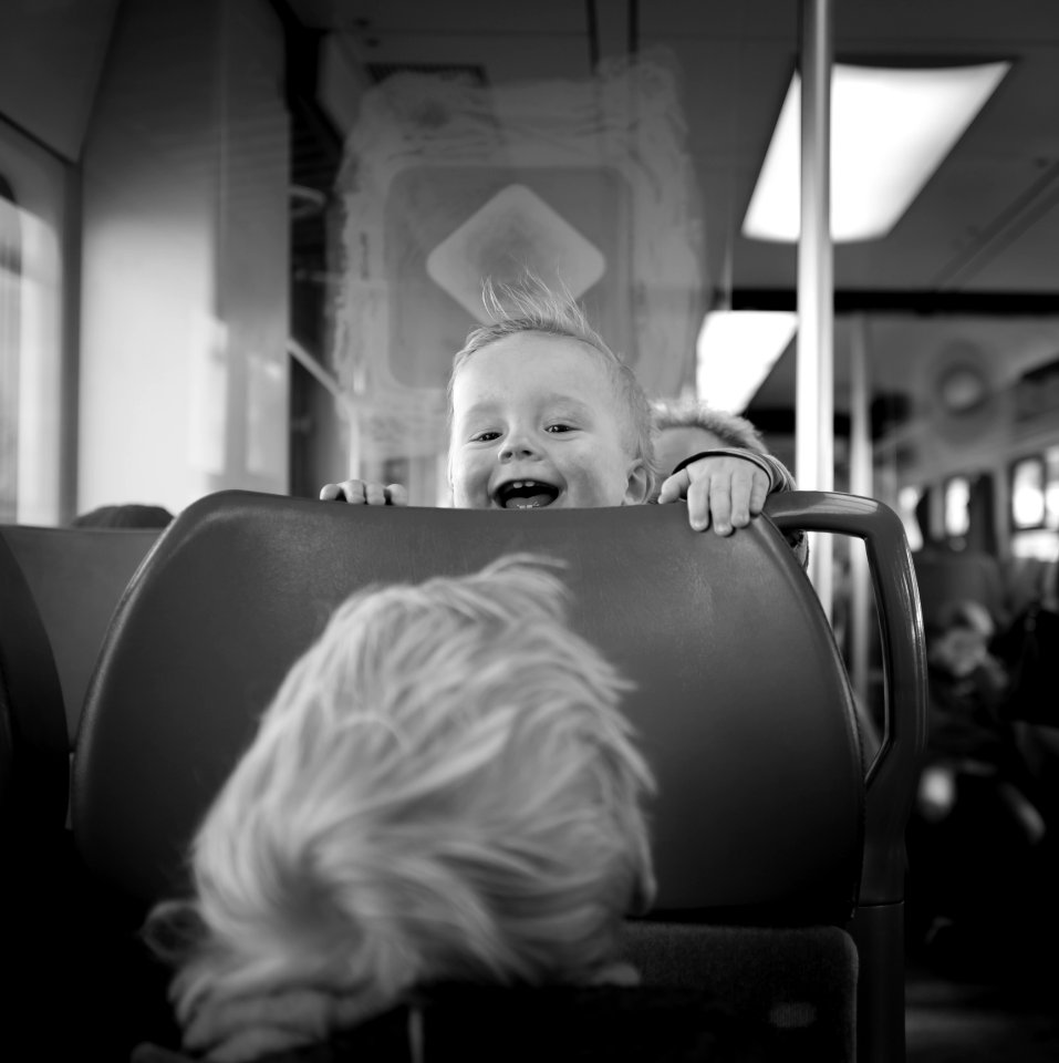 A Dog In The Metro Kids