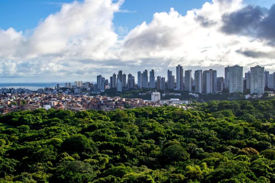 Salvador Brazil City