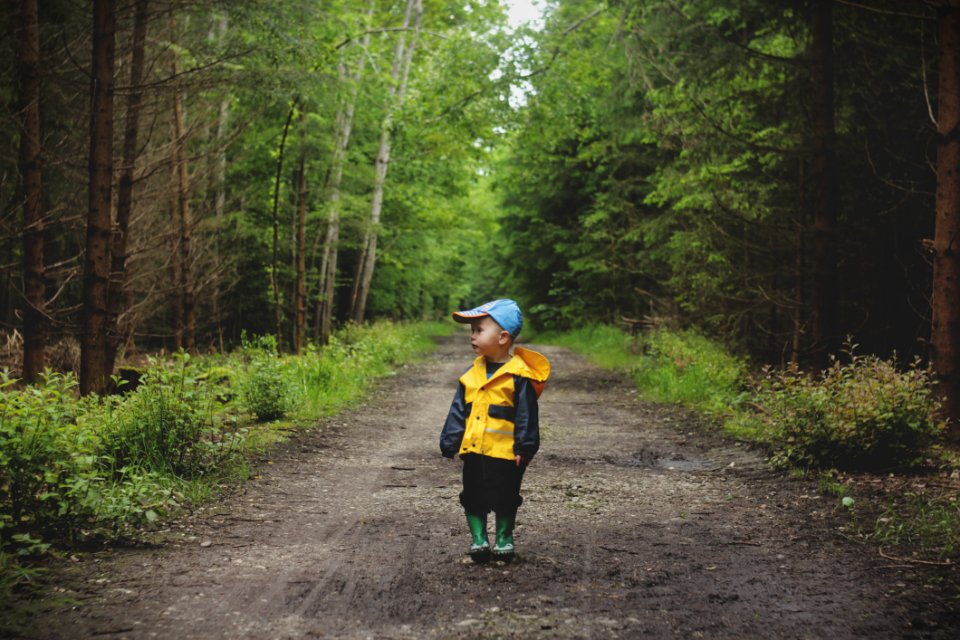 Kid Walking In Forest
