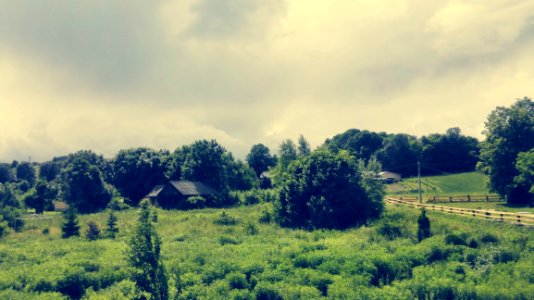 Polish Countryside