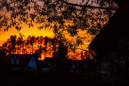 Sunday Evening