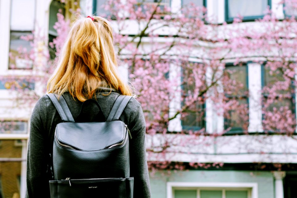 Woman Looking At Cherry Blossoms