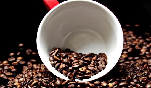 Coffee Beans photo