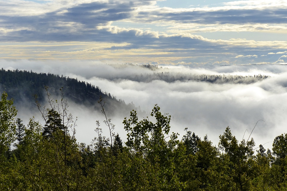 Sky nature fog covered
