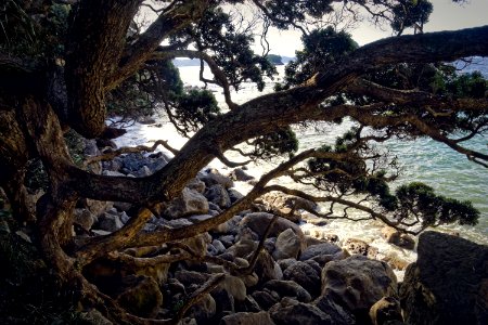 Rock Beach