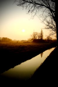 Foggy Morning
