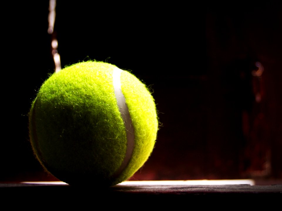 Tennis Ball In Sunlight