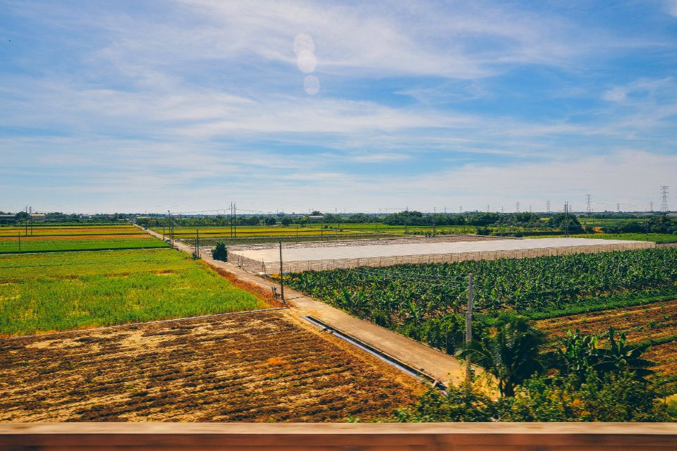 Field Nature Green
