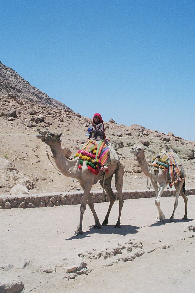 Vacations travel middle east
