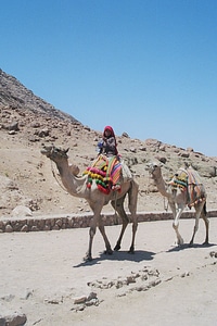 Vacations travel middle east