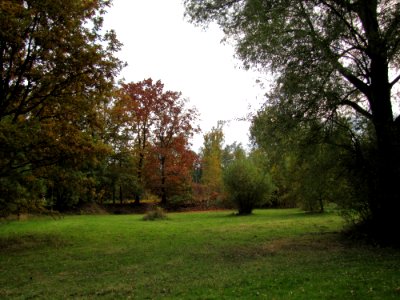 Plant Sky Natural Landscape Tree photo