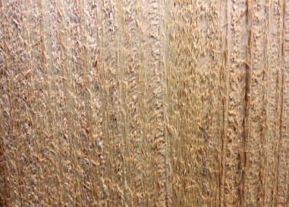 Wood Texture