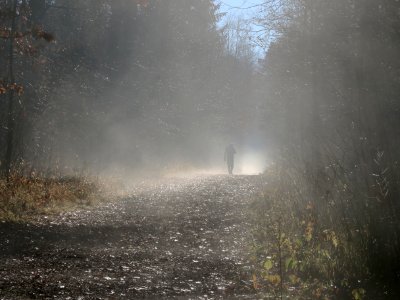 Man On Path In Foggy Forest