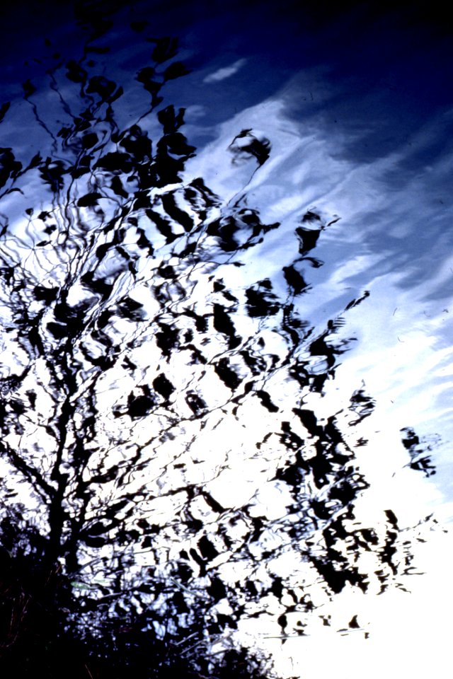 Water Texture 7