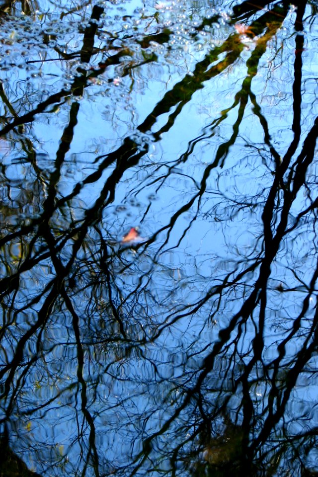 Water Texture 11