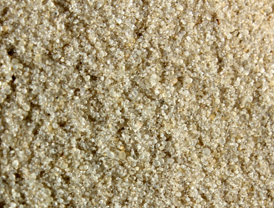 Grainy Sand Texture
