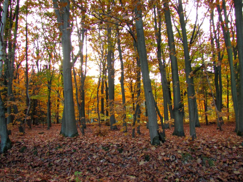 Plant Community Plant Natural Landscape People In Nature