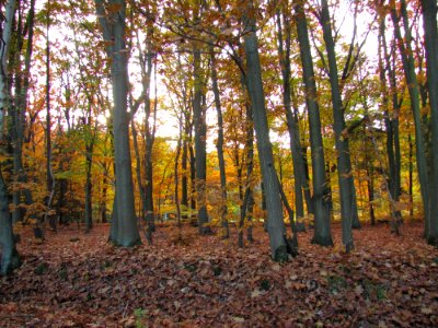 Plant Community Plant Natural Landscape People In Nature