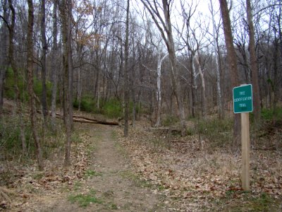 Oldtown Creek Preserve
