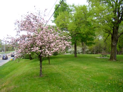 Wyandot Park photo