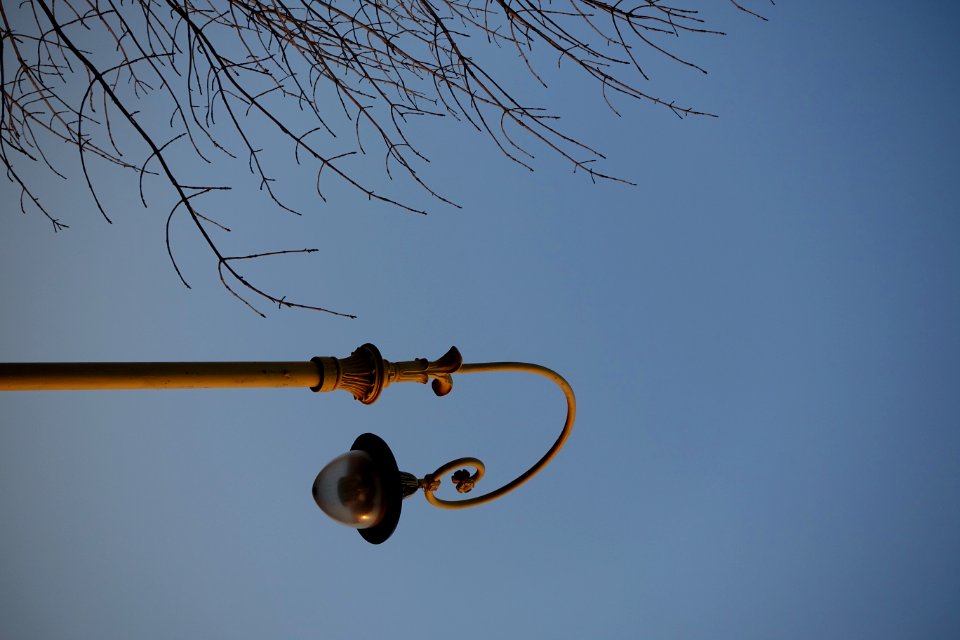 Sky Street Light Electricity Twig