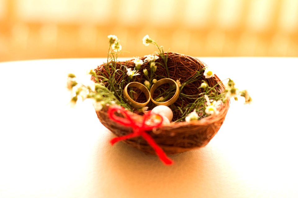 Birds Nest With Rings