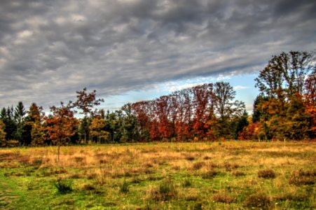 Cloud Plant Sky Natural Landscape photo