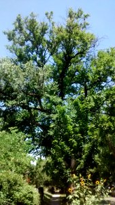 IMG20160721122804732