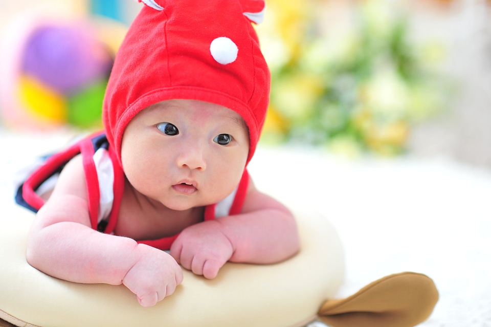 Chiu it's wearing a hat little red riding hood