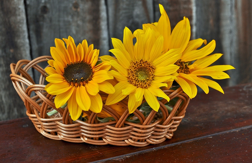 Yellow floral natural