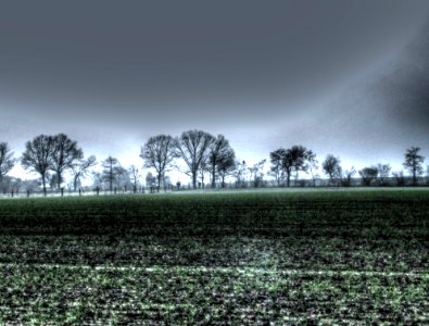 Plant Sky Cloud Natural Landscape