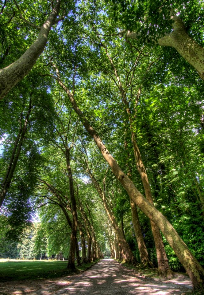 Parc Du Chateau De Courances