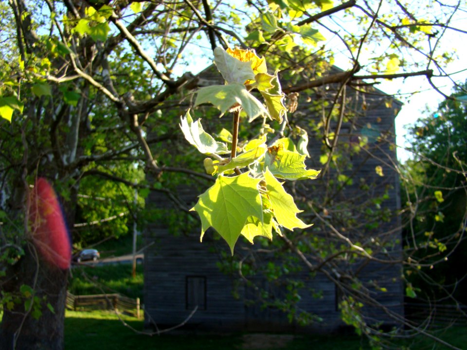 Rock Mill Park