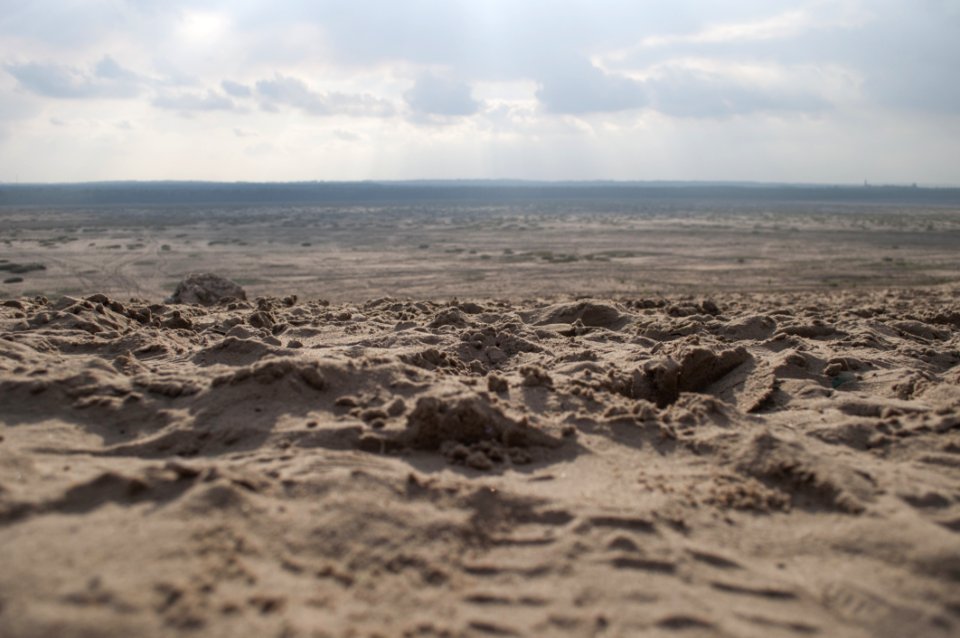 Desert Landscape photo