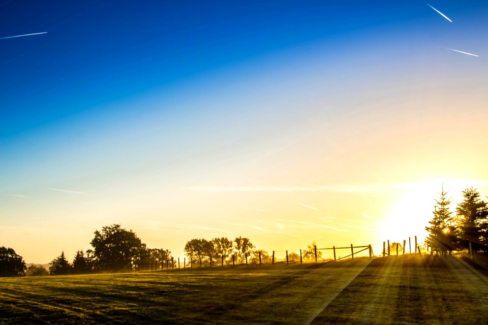Sunrise On Meadow