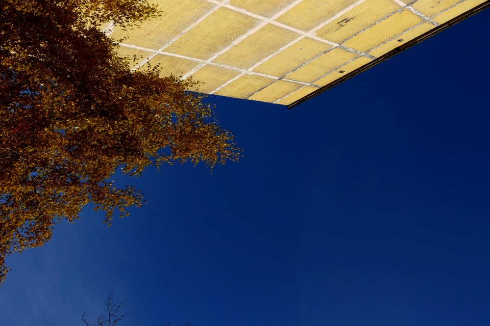Sky Azure Rectangle Twig