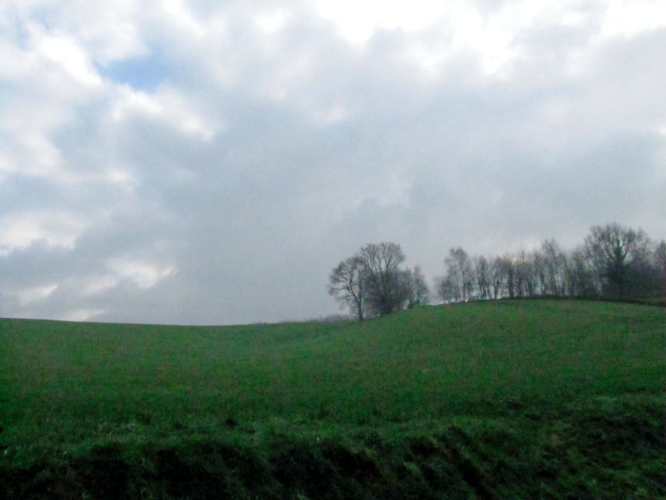 Cloud Sky Plant Natural Landscape