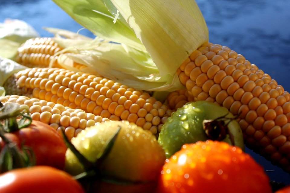 Corn And Fresh Tomato
