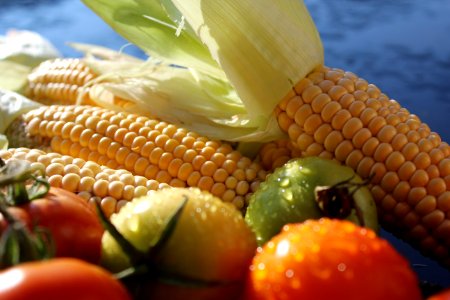 Corn And Fresh Tomato photo