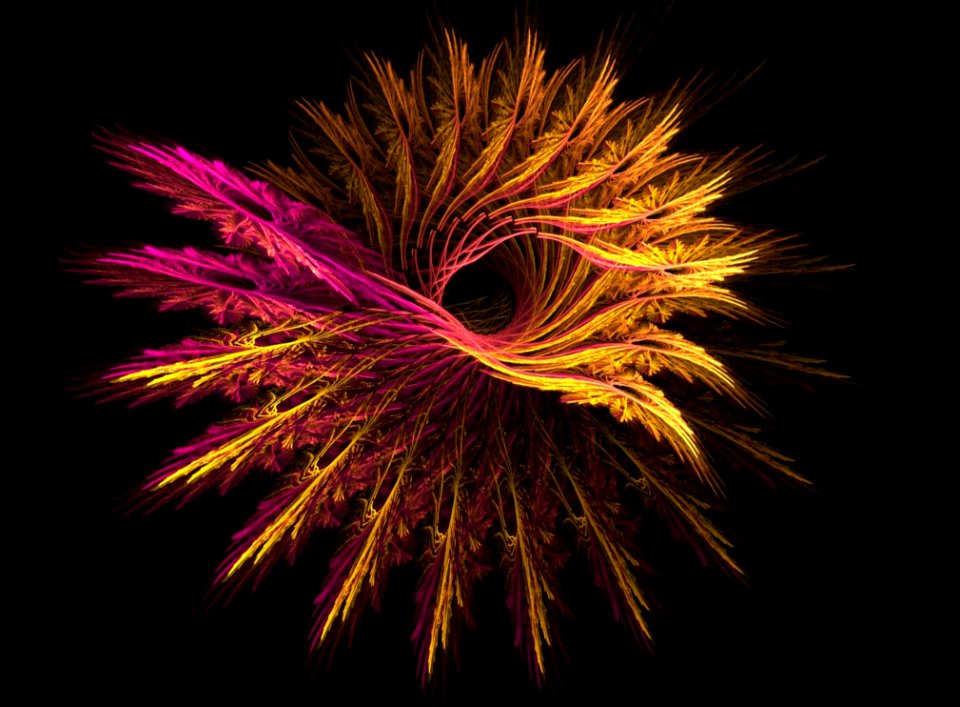 Fractal Art Close Up Darkness Macro Photography